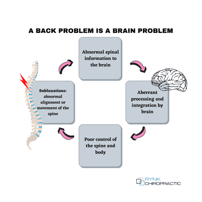 A back problem is a brain problem.  Subluxation free spine relieves pain, improves brain function and maximizes your health potential.