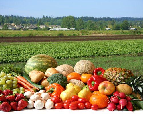 Farm fresh fruits and vegetables delivered weekly to our door