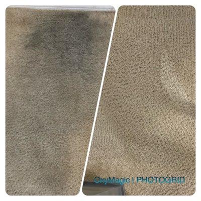 Before and after photos of carpet cleaning