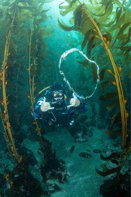 Kelp forest throwing bubble rings