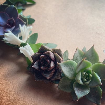 Succulent Crown