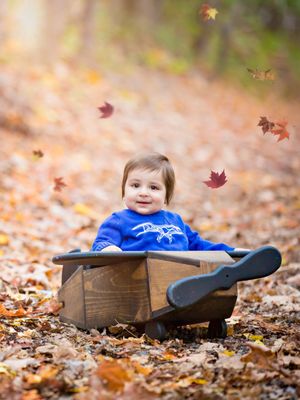 fall family mini session