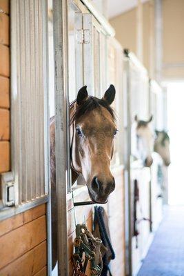 Harmony Mountain Ranch