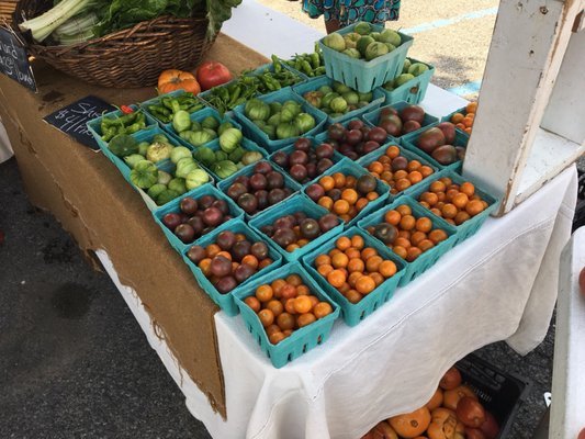 Pine Bush Farmers Market