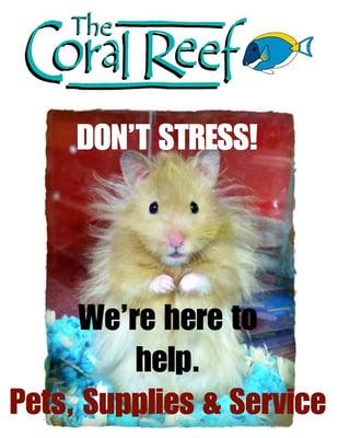 Any questions or concerns about your Aquarium or Animal? Give us a call or stop on in!