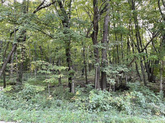 Blue Mound State Park.