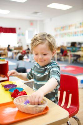 Apple Montessori Schools & Camps - Kinnelon