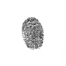 Independent Fingerprint Consulting Inc