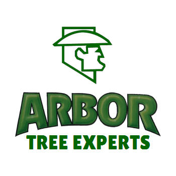 Our Tree Service Logo