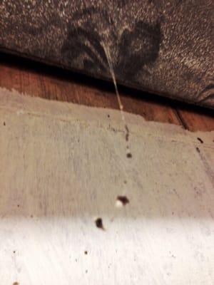 One of many huge, nasty cobwebs with gobbledygook hanging in the hallways of @PublicStorage on 7571 Ridge Avenue.