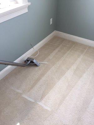 Carpet cleaning