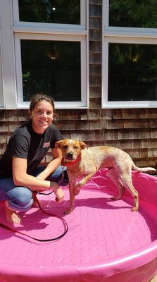 Doggie Day School trainer Tori teaching student Sully that water is cool on a hot summer day! :)