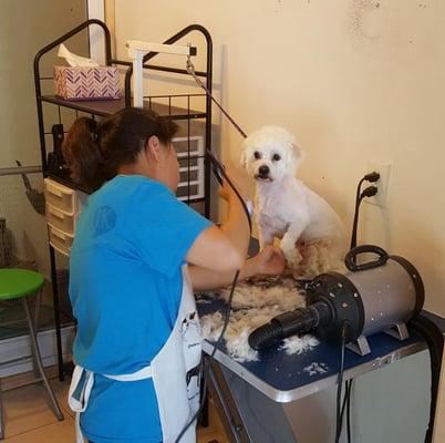 Your little one is always dried by hand; not unattended in the crate.