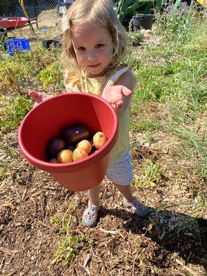 Gardening project