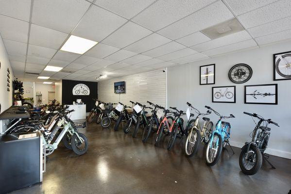 Electric Spinz Electric Bike Rentals and Sales