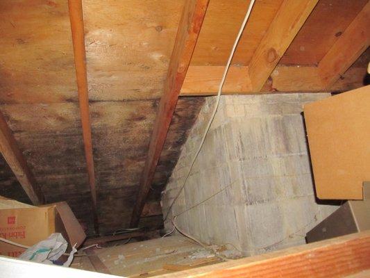 Presence of Mold Spore Activity Due to Poor Attic Ventilation