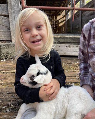 Indy loves to hug baby goats.