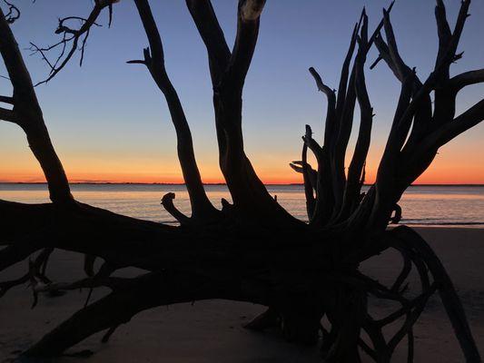 St Andrews Beach