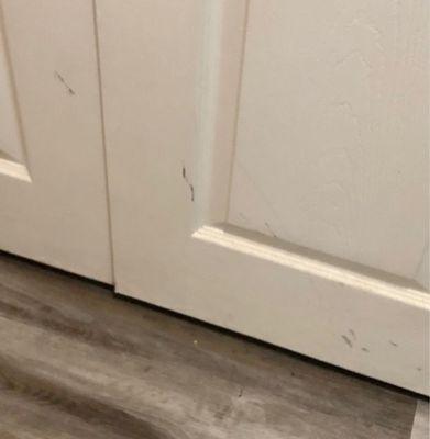 Dirty scuff marks on the closet door