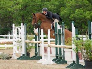 From short stirrup to the junior hunters and beyond.