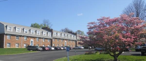 The Mill At Blacksburg