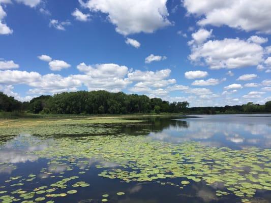 Beautiful walk around the lake.