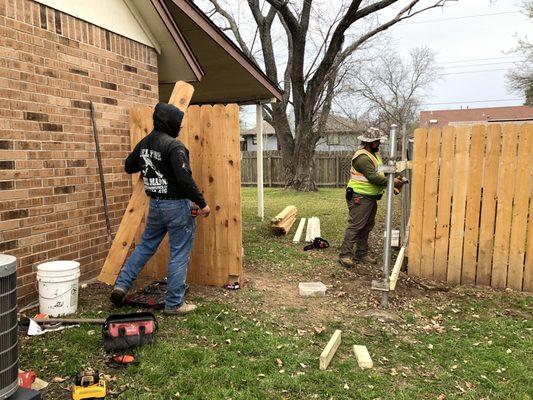 New fence installation