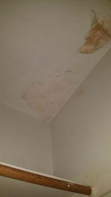 Water marks from a leaky ceiling that was said to not be leaking