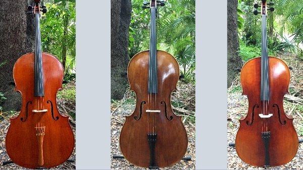 Professional cellos for rent and for sale! Short term and long term rentals are available.