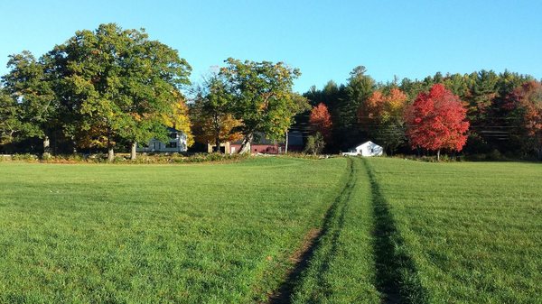 Fall at the farm