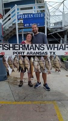 Our limit of sheepshead with a lonely keeper redfish