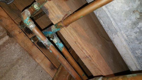 Repairing mold and damage from burst pipe