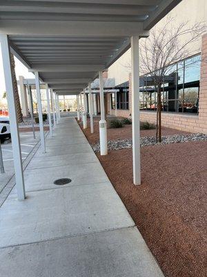 Beautiful desert landscaping on the side of the building