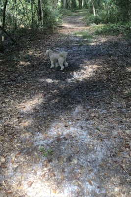 Carolyn Meeker Dog Park and Nature Trail