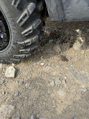 All of the transmission fluid leaking on a national forest road