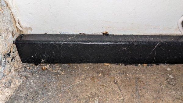 dead roaches throughout the baseboards.