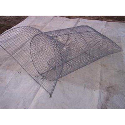 Fish Trap