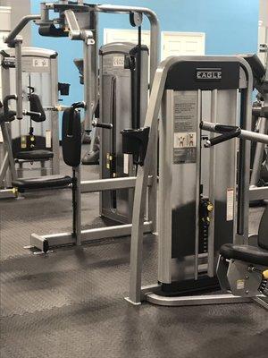 Great new Cybex Machine weights