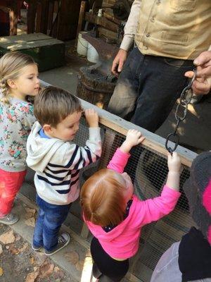 Field trip to Wheeler Historic Farm.