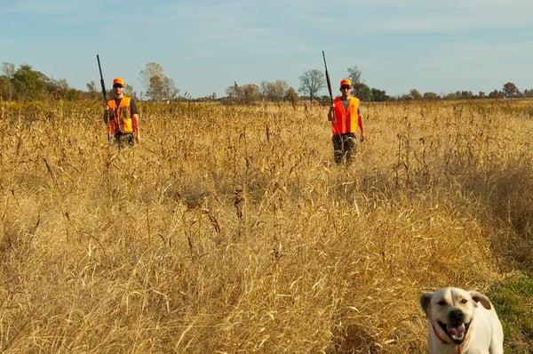 A guide with trained dog will accompany you on your first pheasant hunt.  Members get to bring their own dogs.