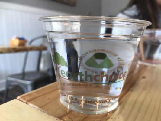 Compostable cups