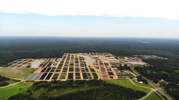 Drone photo of Windmill Nursery.