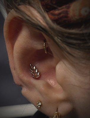 Piercing done by Elizabeth Gore with 14k gold from Junipurr Jewelry