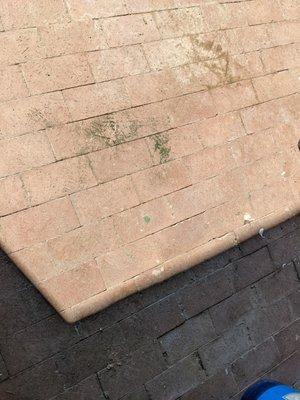 paint splatters on brick pavers