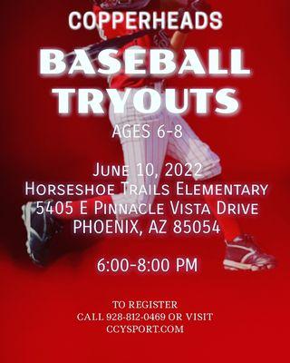 Baseball tryouts flyer