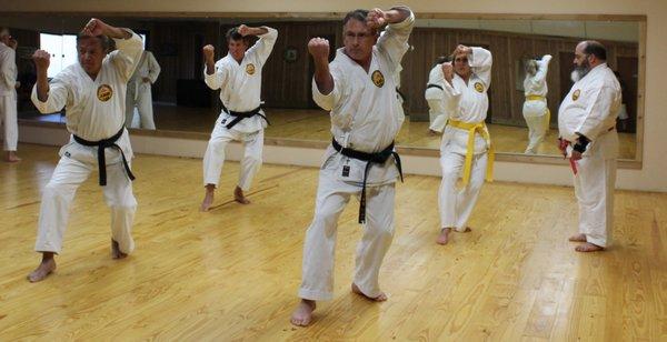 Kata, Kumite and Kobudo are the three pillars forming karate capabilities. The photo shows a Kata performance