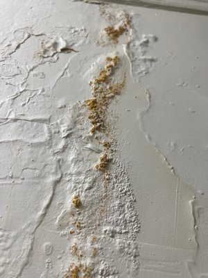 Damaged wall. Leak