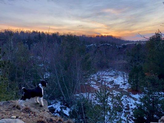 Quarry Run Dog Park