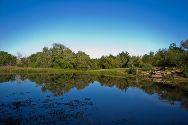 Another shot of one of the fishing ponds.