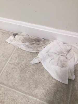 Dirt on a towel used to clean kitchen floor ( no sponges provided)